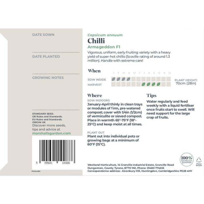 Chilli Pepper Seeds 'Armageddon'