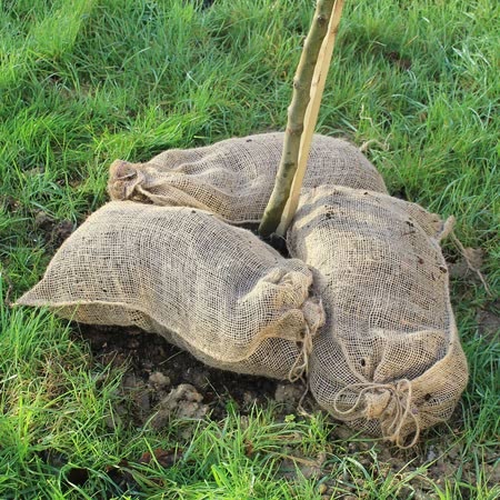 Compostable Leaf Sacks