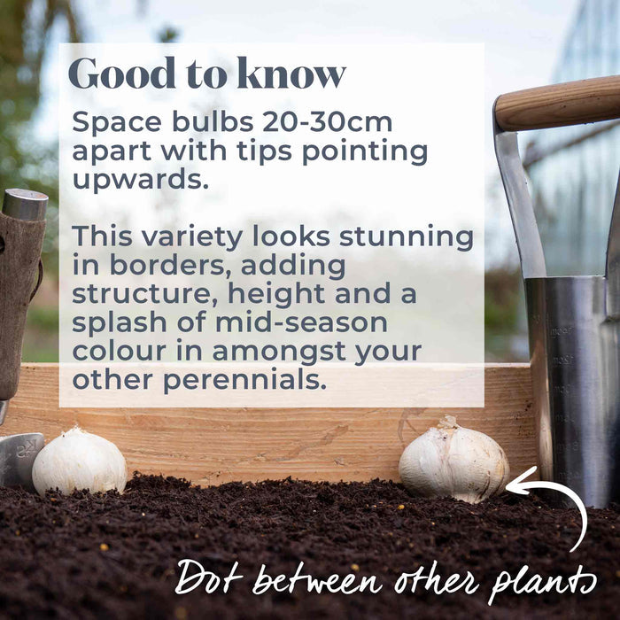 Gardening tip about planting bulbs with text overlay on a garden background.