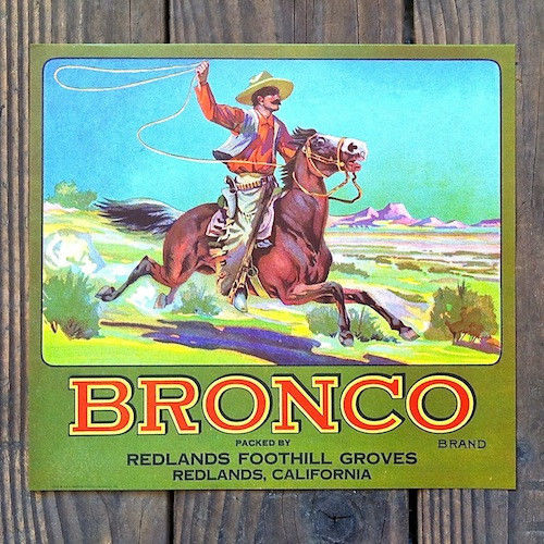 BRONCO Crate Fruit Box Label 1920s