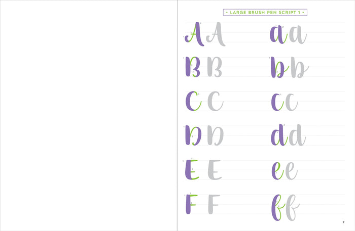 Brush Lettering Beginner Workbook