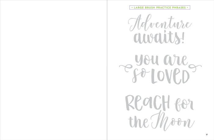 Brush Lettering Beginner Workbook