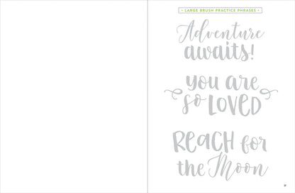 Brush Lettering Beginner Workbook