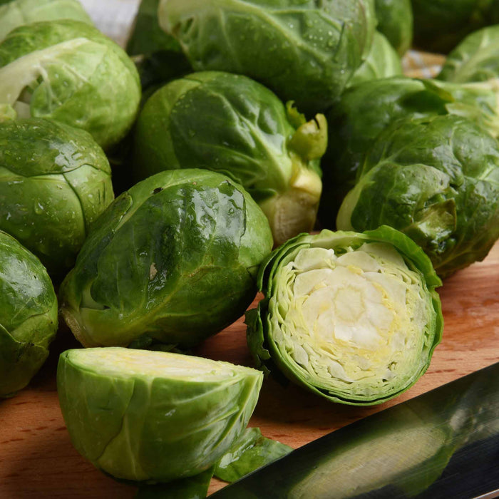 Brussels Sprout  'Brigitte'