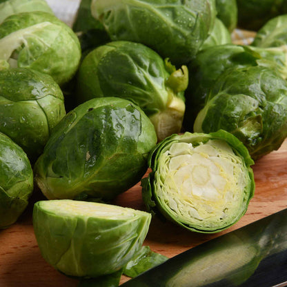 Brussels Sprout  'Brigitte'