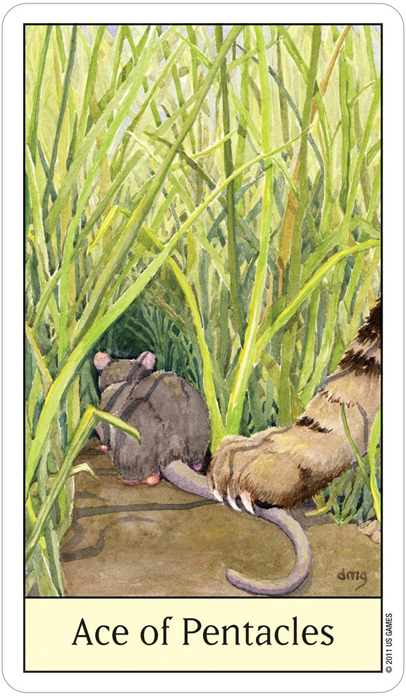 Cats Eye Tarot