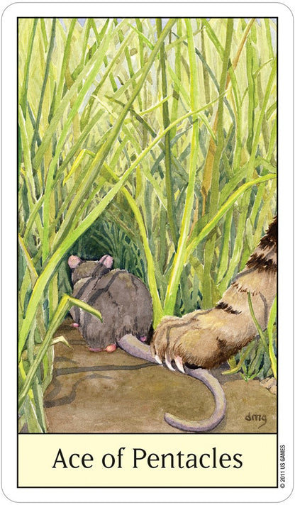 Cats Eye Tarot