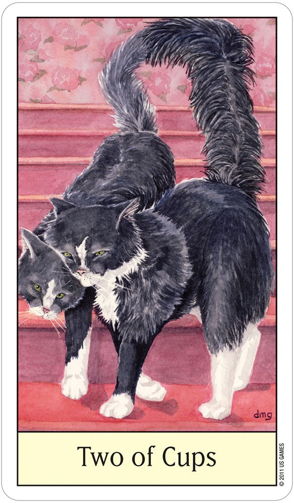 Cats Eye Tarot