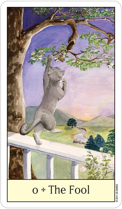 Cats Eye Tarot