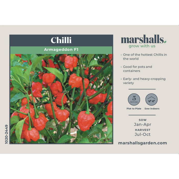 Chilli Pepper Seeds 'Armageddon'