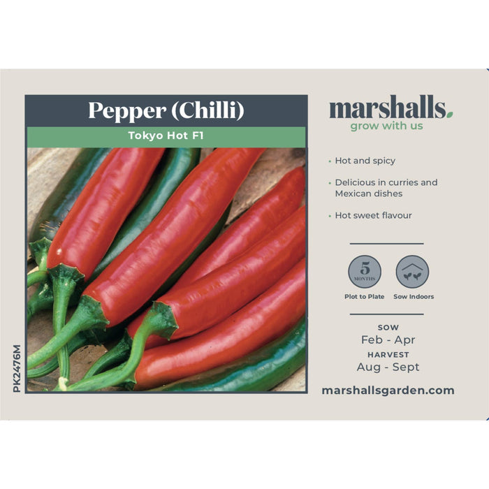 Chilli Pepper Seeds 'Tokyo Hot'