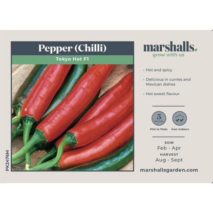 Chilli Pepper Seeds 'Tokyo Hot'