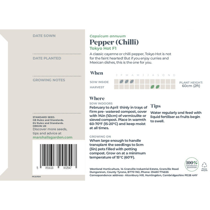 Chilli Pepper Seeds 'Tokyo Hot'
