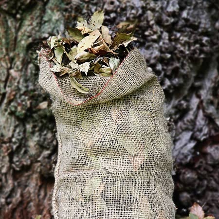 Compostable Leaf Sacks