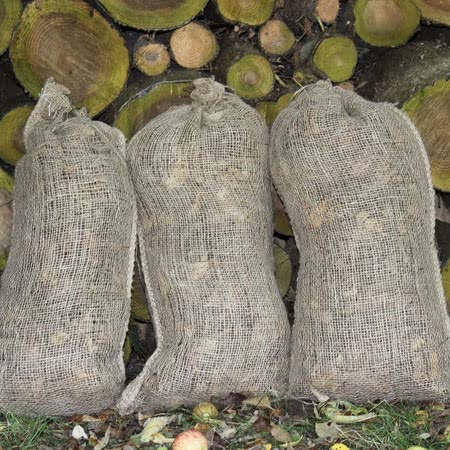 Compostable Leaf Sacks