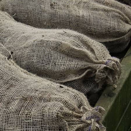 Compostable Leaf Sacks