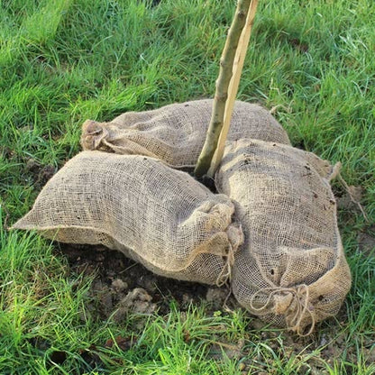 Compostable Leaf Sacks