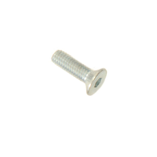 (1) M3x10 Flat Head Screw