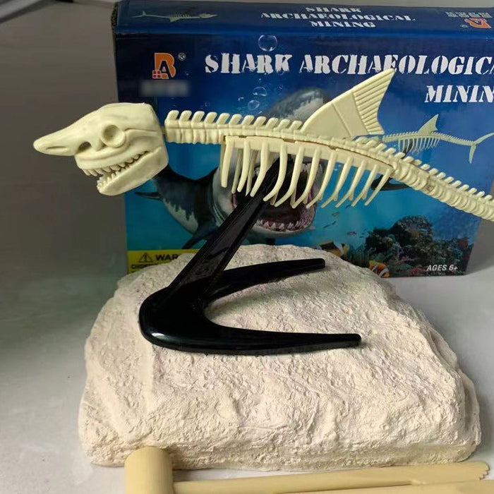 shark