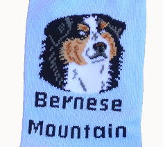 "Foozys Berner Socks" - one size fits most