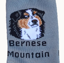 "Foozys Berner Socks" - one size fits most