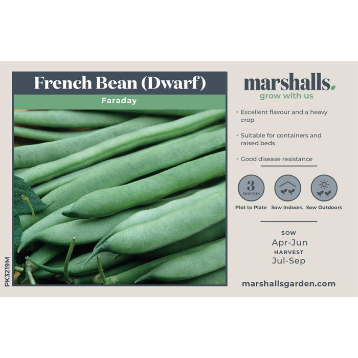 French Bean Dwarf Seeds 'Faraday'