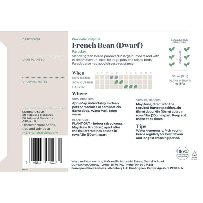 French Bean Dwarf Seeds 'Faraday'