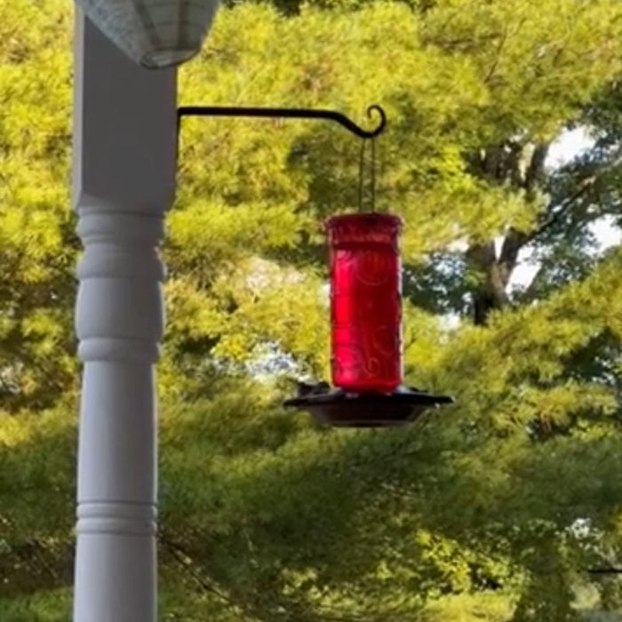 Glass Hummingbird Feeder for Outdoor Hanging