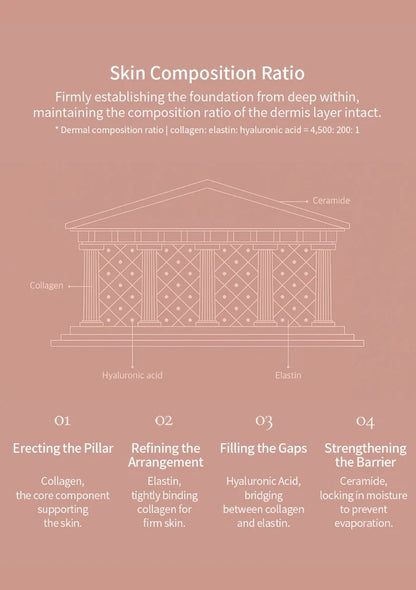 Diagram of skin composition ratio with architectural analogy on a pink background