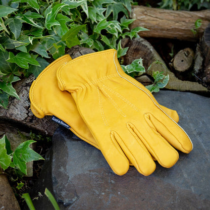 Kent & Stowe Luxury Leather Gloves - Ladies (Medium)