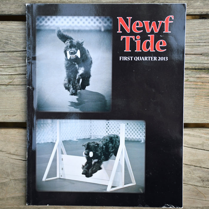 Newf Tide First Quarter 2013