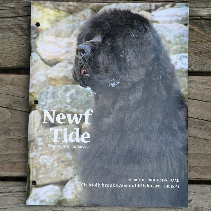Newf Tide Second Quarter 2009