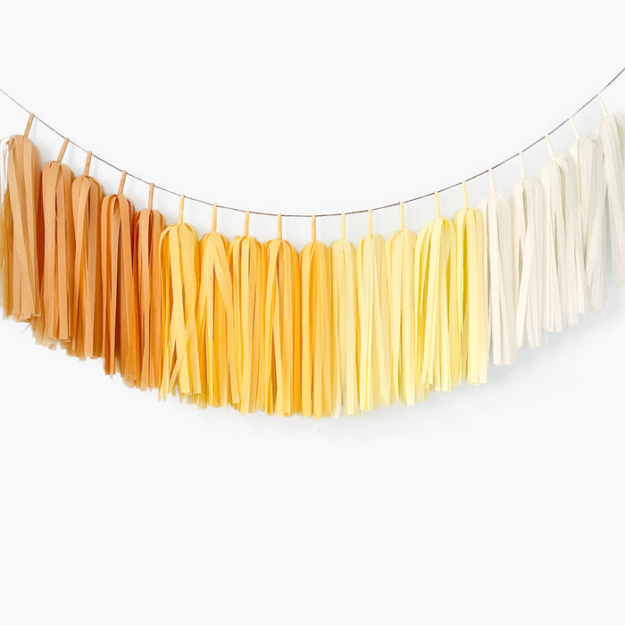 Ombre Yellow Tassel Garland - Boho Sunshine Birthday Backdrop - 1st Trip Around the Sun First BirthdayOmbre Yellow Tassel Garland - Boho Sunshine Birthday Backdrop - 1st Trip Around the Sun First Birthday - Summer Lemon Party