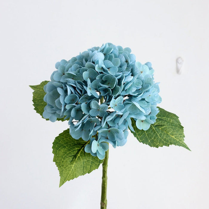 NEW SKY BLUE