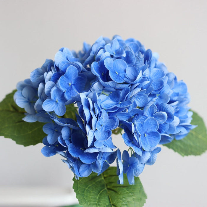 NEW - DARK BLUE