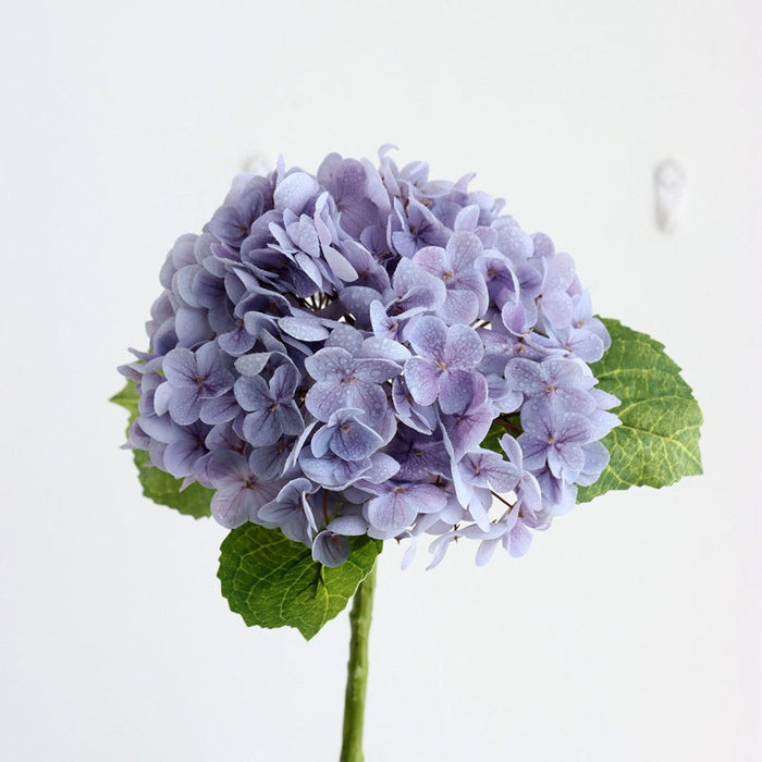 NEW PURPLE