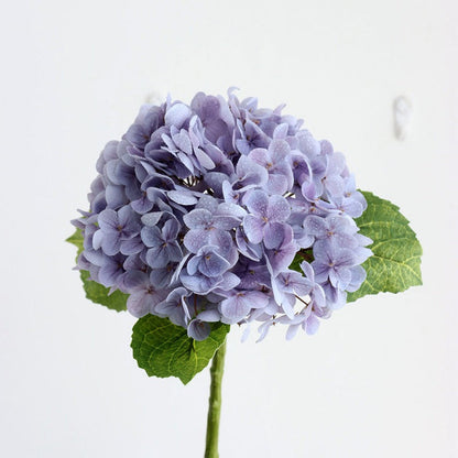 NEW PURPLE