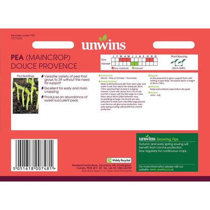 Pea Seeds 'Douce Provence'