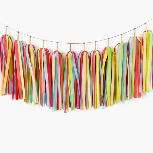 Rainbow Mingle Tassel Garland [Deluxe] - Rainbow Birthday Party - LGBTQ+ Pride Celebrations - Wedding Backdrop - Fiesta -