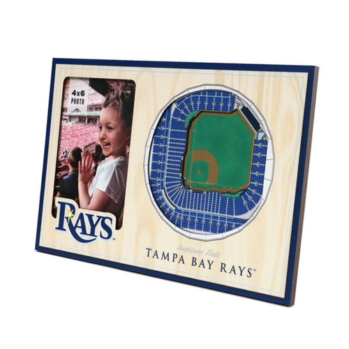Rays 3D Stadium View Picture Frame