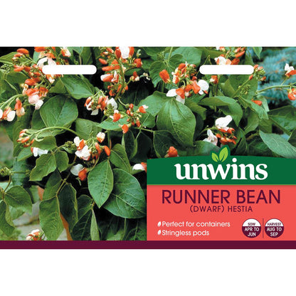 Runner Bean Dwarf  Seeds 'Hestia'