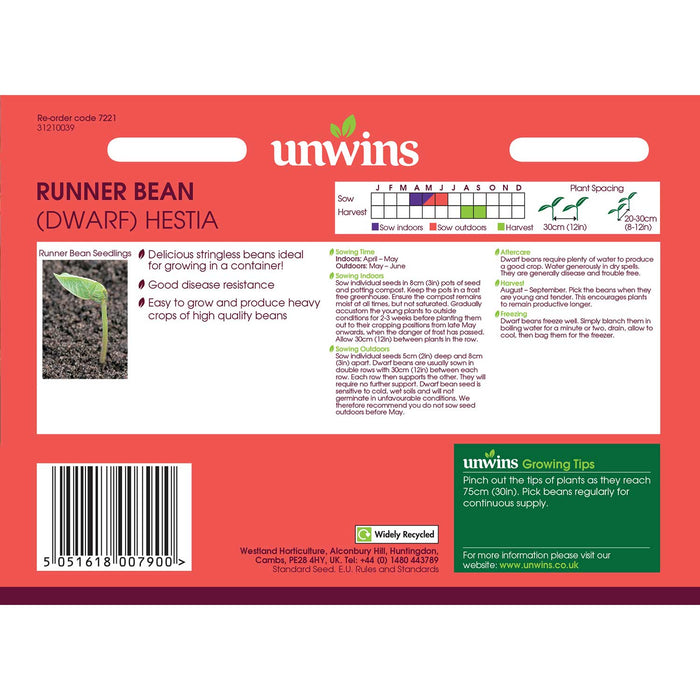 Runner Bean Dwarf  Seeds 'Hestia'