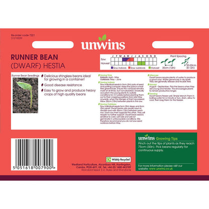 Runner Bean Dwarf  Seeds 'Hestia'