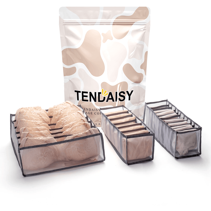 bag / 6+7+11 compartments