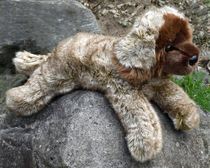 Thor - Leonberger, medium