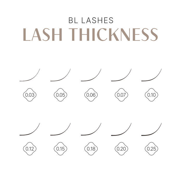 Volume 6D Lash