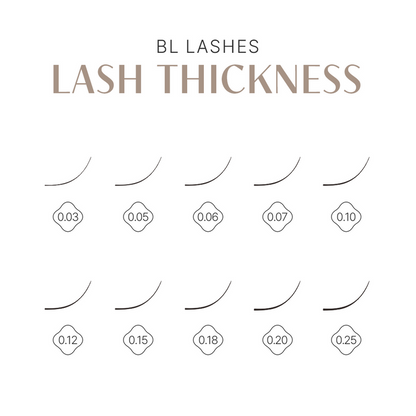 Volume 6D Lash